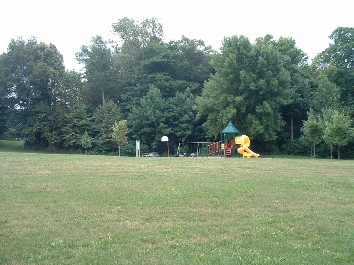 Ground-level view of Shoreview Park