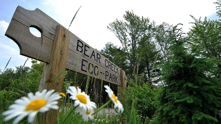 Sign for Bear Creek Eco Park with flowers in foreground