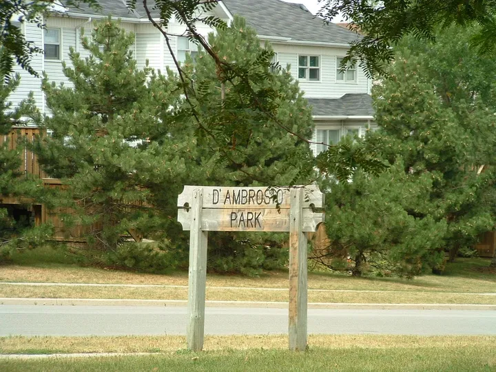 Ground-level view of D'Ambrosio Park