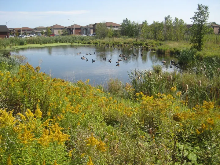Ground-level view of Dunsmore Park