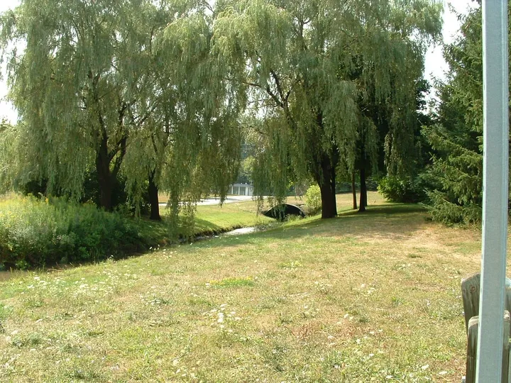 Ground-level view of Dyments Pond Park