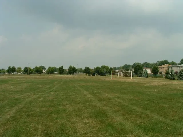 Ground-level view of Hickling Park