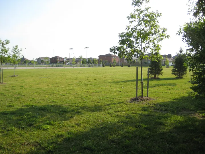 Ground-level view of Holly Community Park