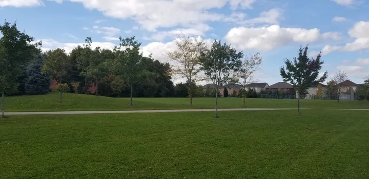 Ground-level view of Hyde Park
