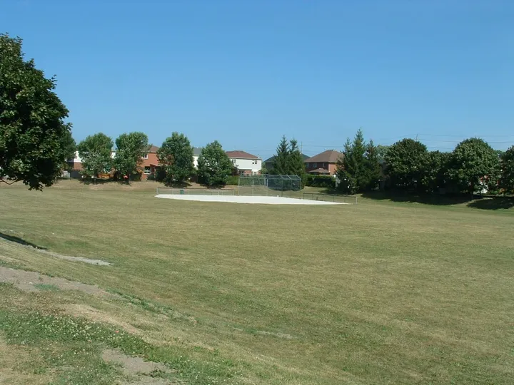 Ground-level view of Livingstone Park