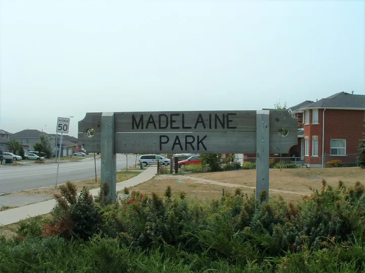 Ground-level view of Madelaine Park