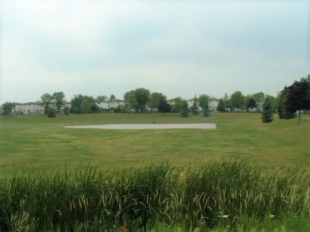 Ground-level view of Maitland Park