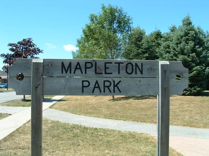 Ground-level view of Mapleton Park