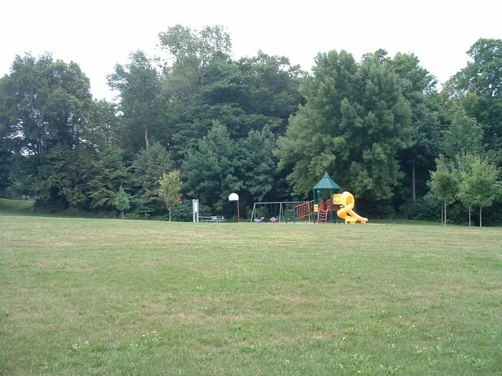 Ground-level view of Shoreview Park