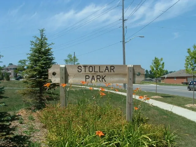 Ground-level view of Stollar Park