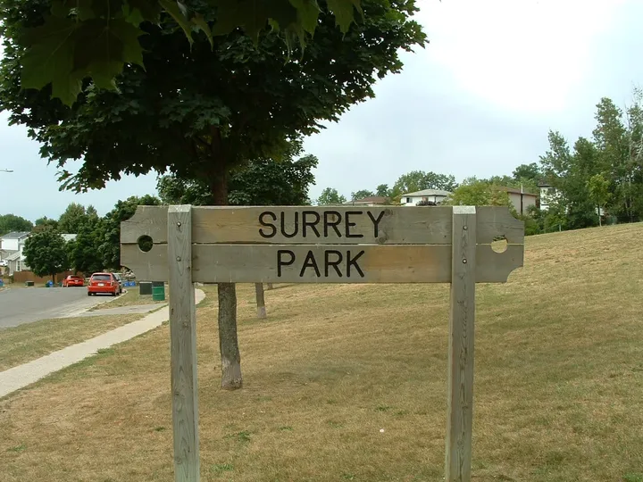 Ground-level view of Surrey Park