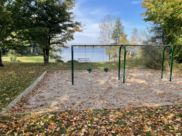 Ground-level view of Tollendale Woods Park