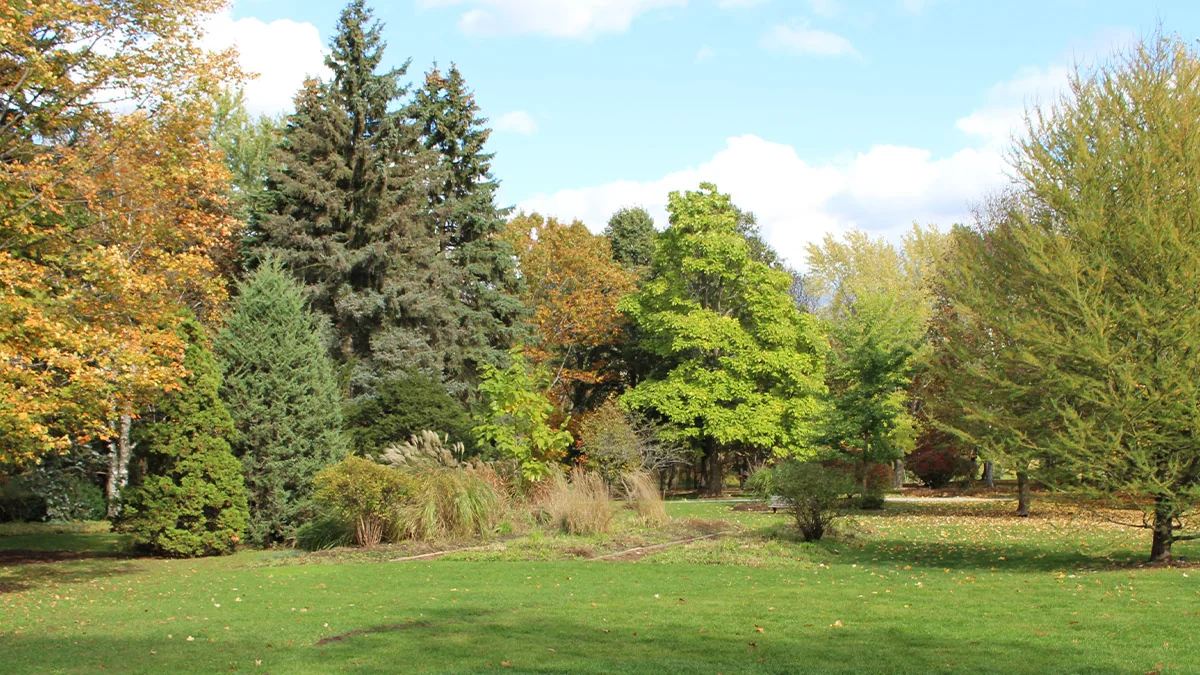 Ground-level view of Sunnidale Park